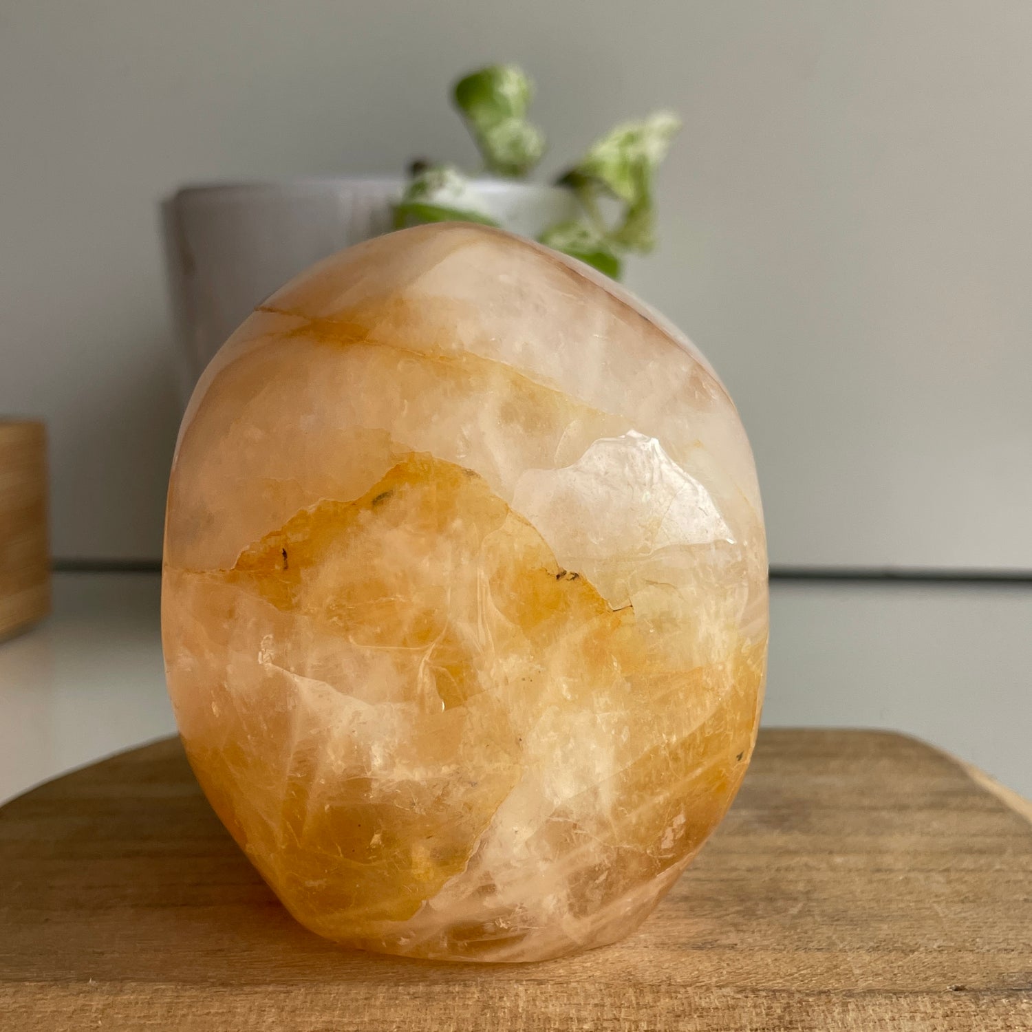 Golden Healer Quartz Skull 6