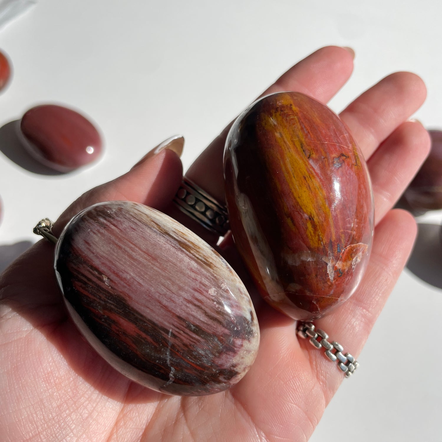 Petrified Wood Palmstone