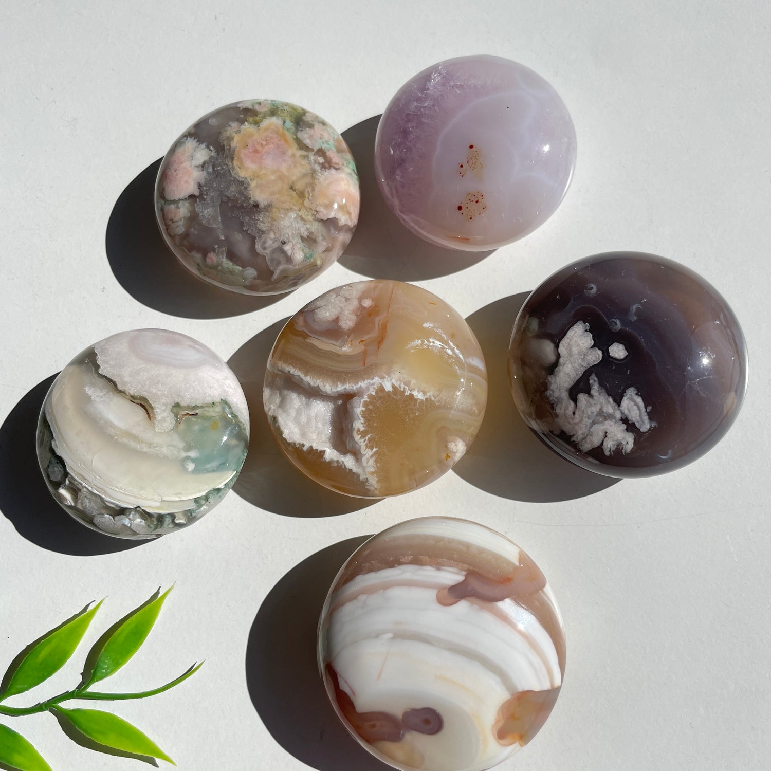 Flower Agate Palmstone Med