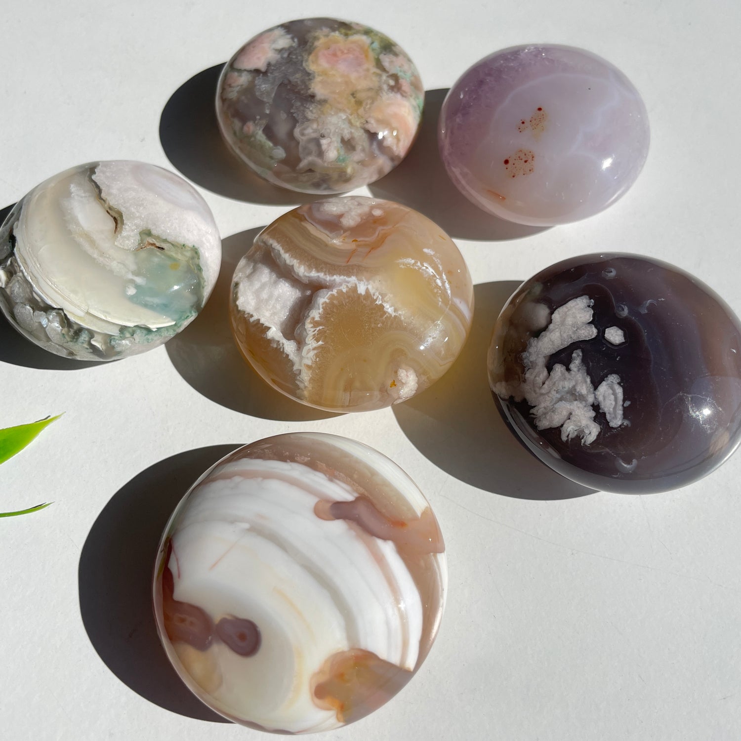 Flower Agate Palmstone Med