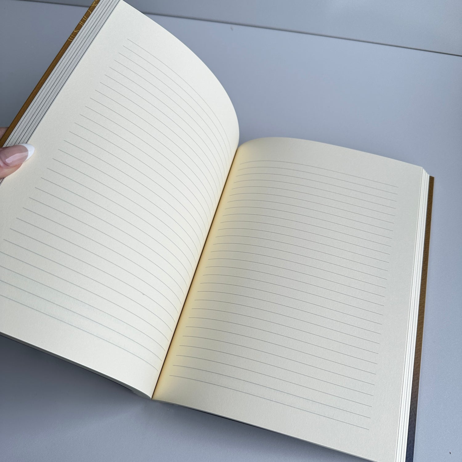 Path Of Light Journal