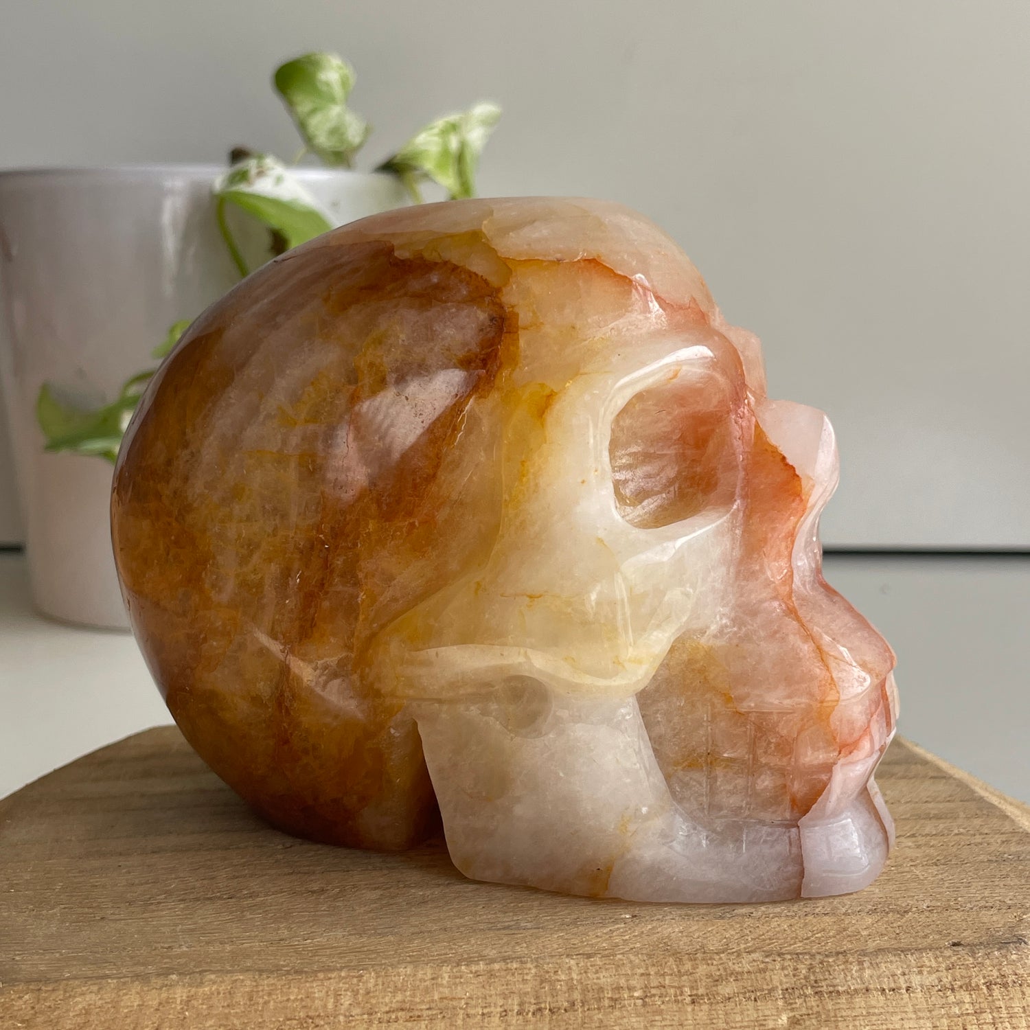 Golden Healer Quartz Skull 7