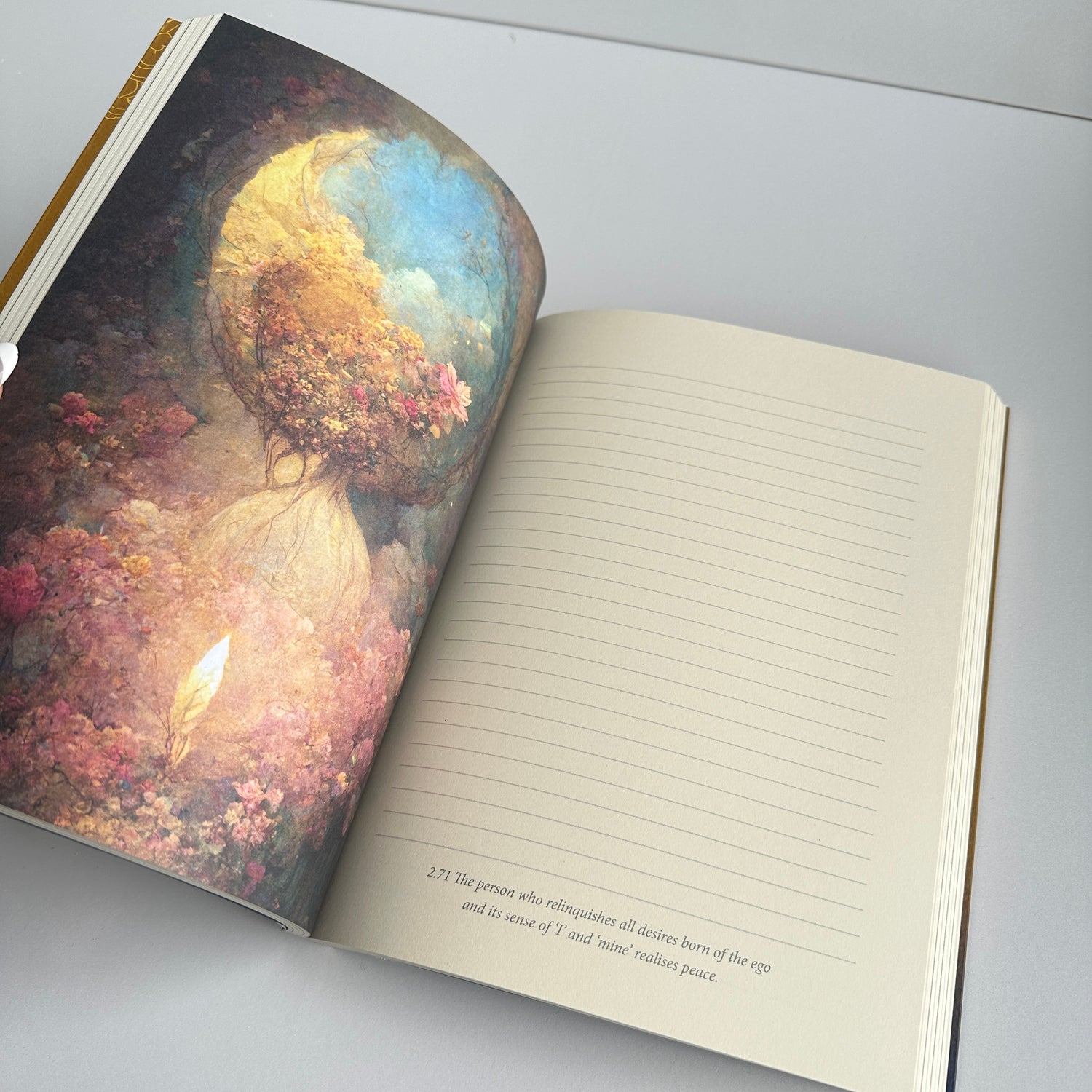 Path Of Light Journal