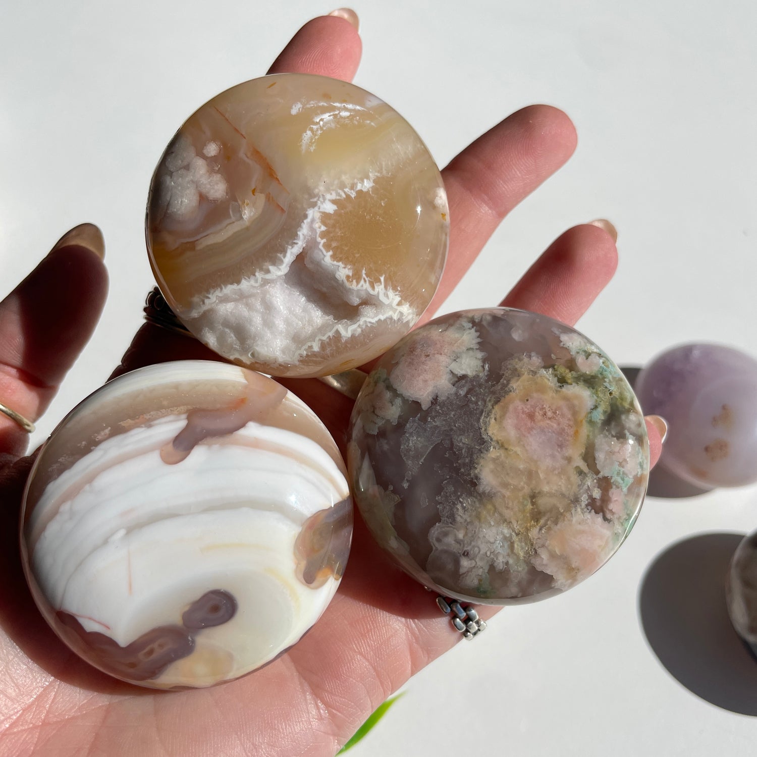 Flower Agate Palmstone Med