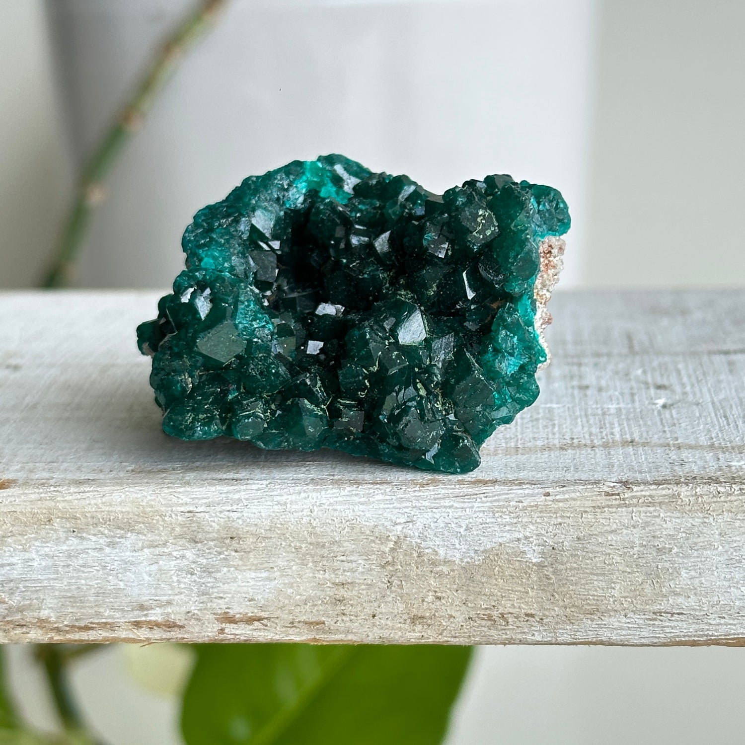 Dioptase Pce 48g