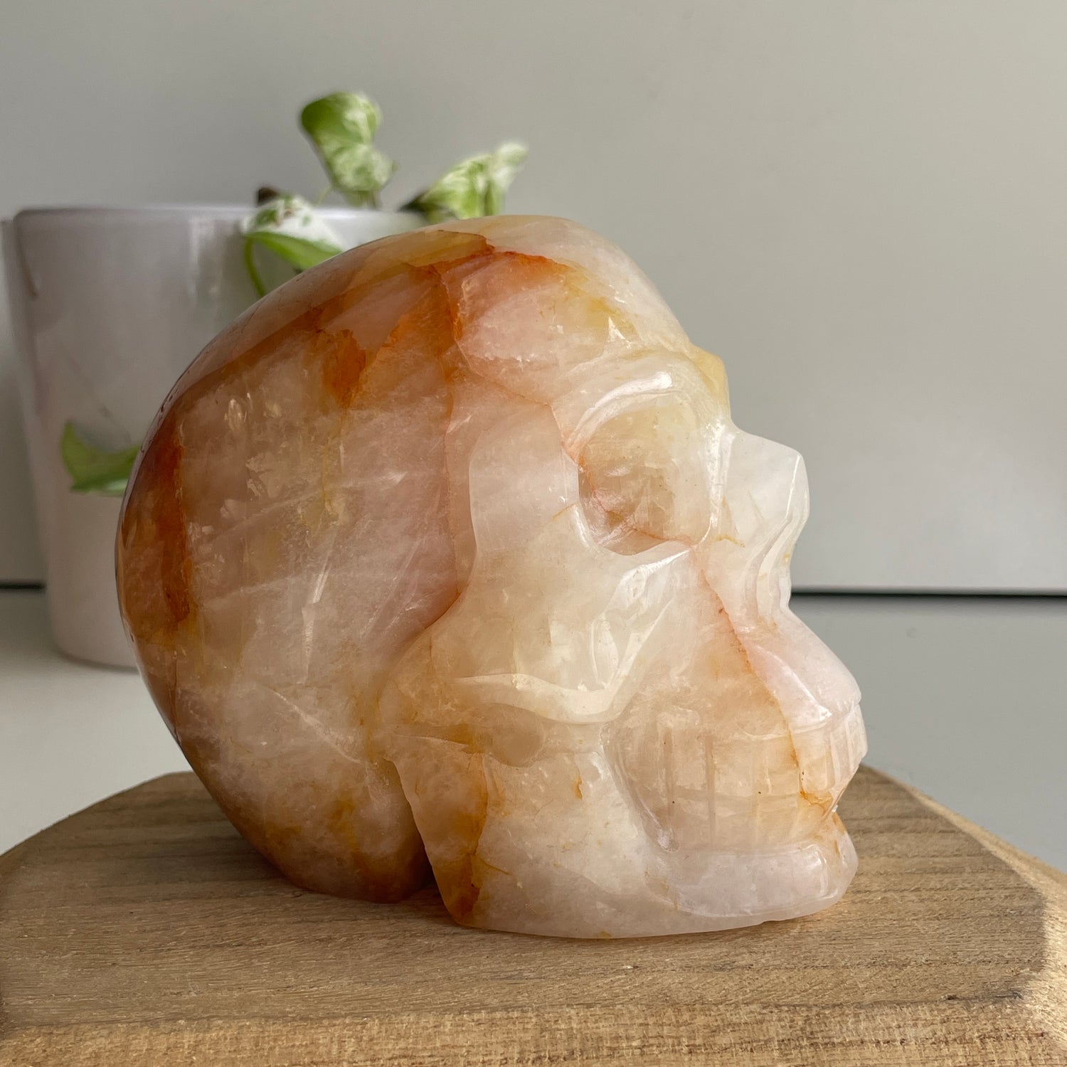 Golden Healer Quartz Skull 8