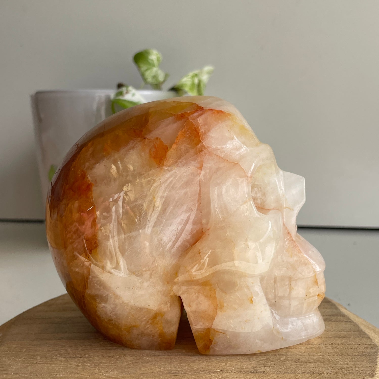Golden Healer Quartz Skull 8