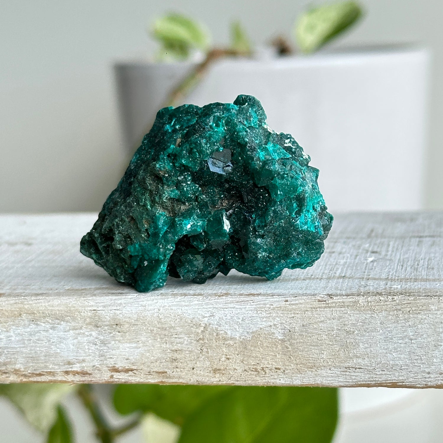 Dioptase Pce 42g