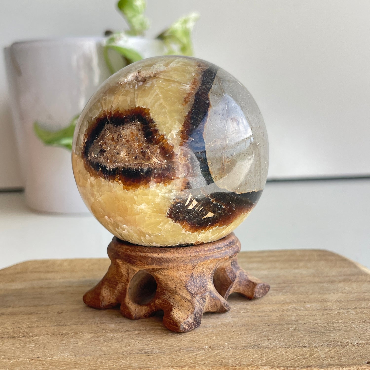 Septarian Sphere 6.4cm