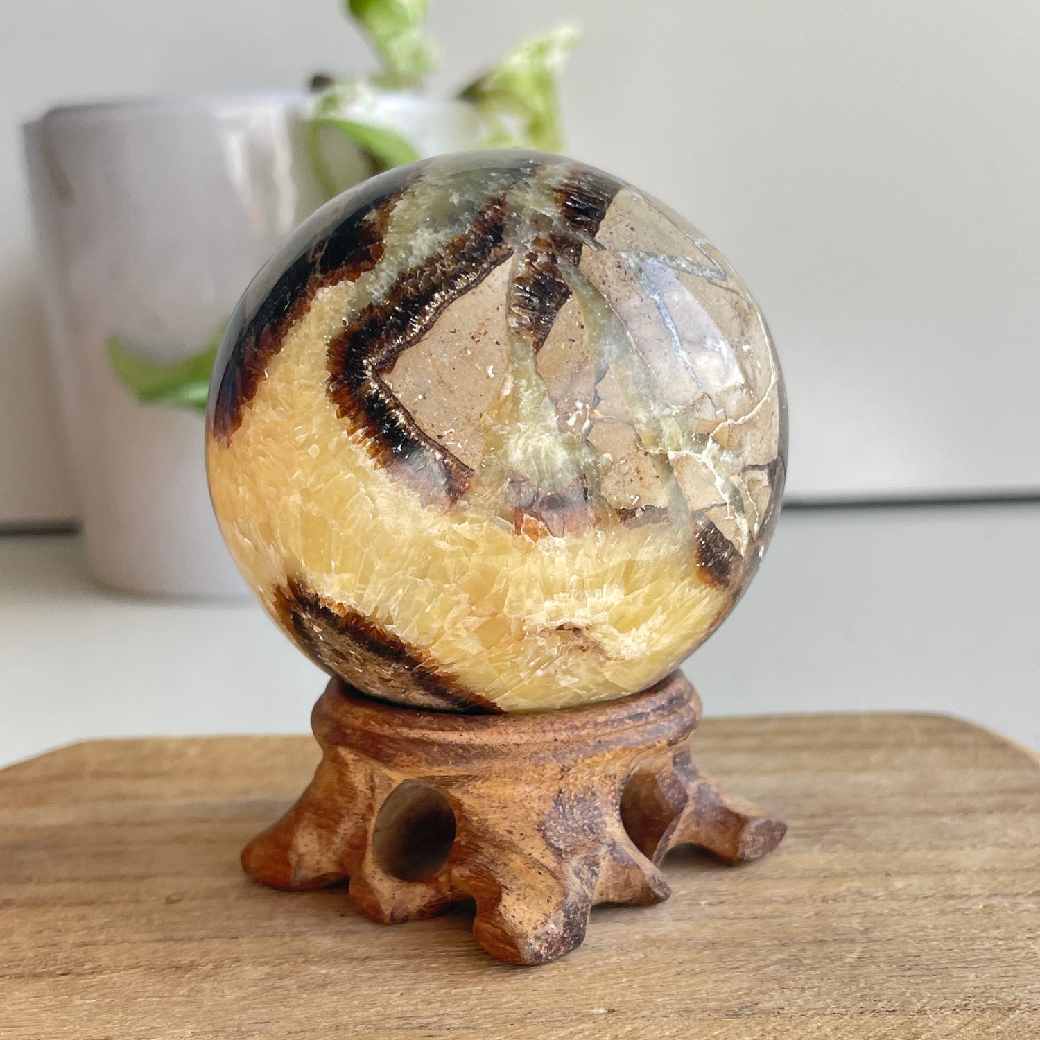 Septarian Sphere 6.4cm