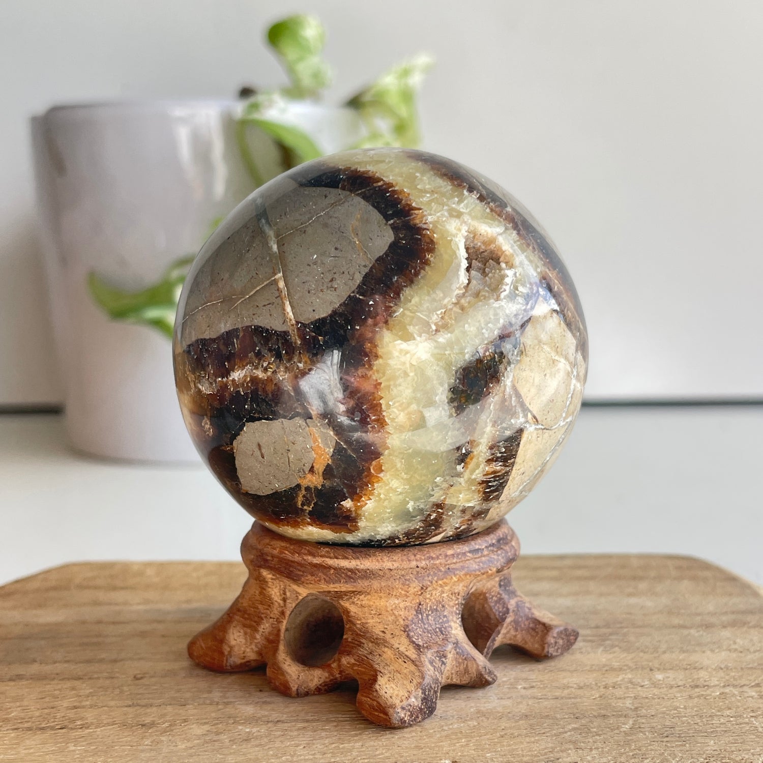 Septarian Sphere 6.4cm