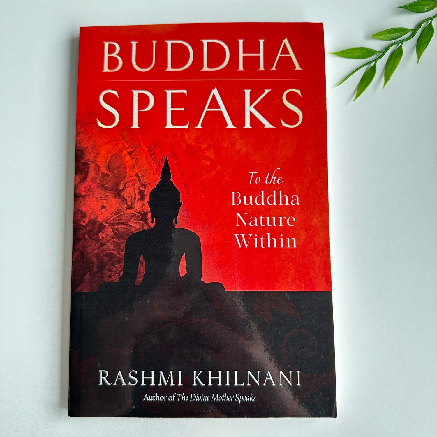 R. Khilnani Buddha Speaks