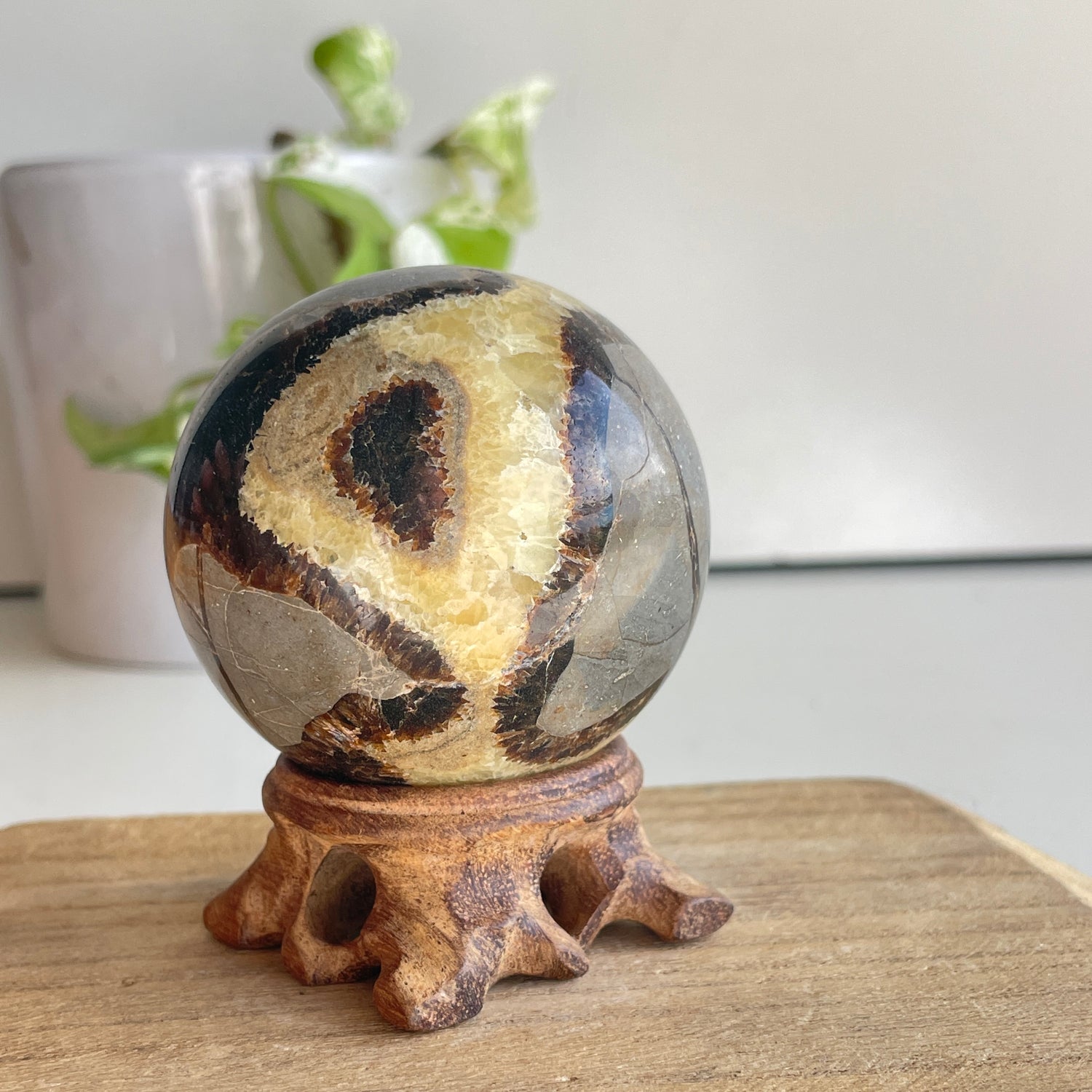 Septarian Sphere 6.1cm