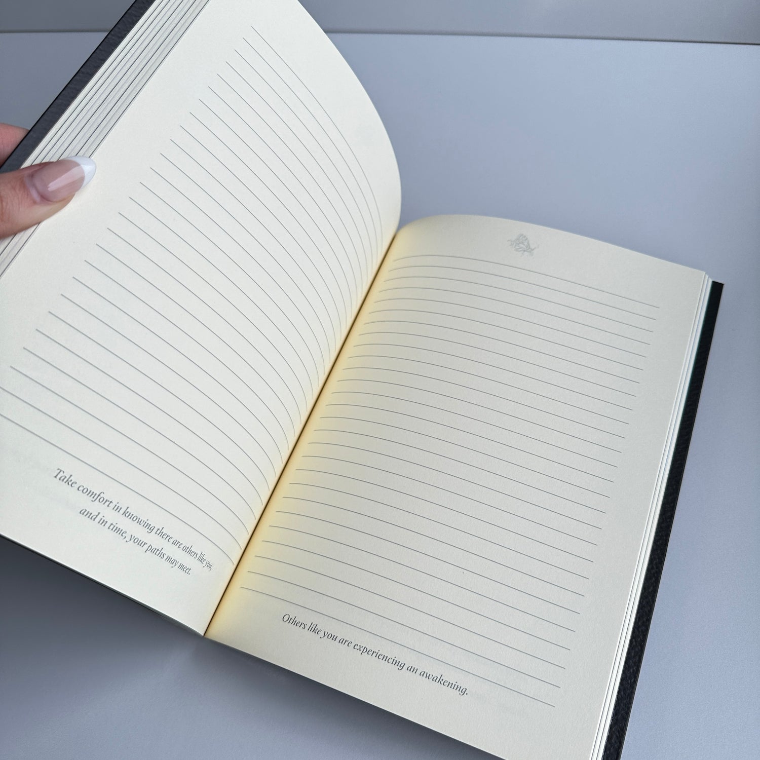 Into The Lonely Woods Journal Lucy Cavendish