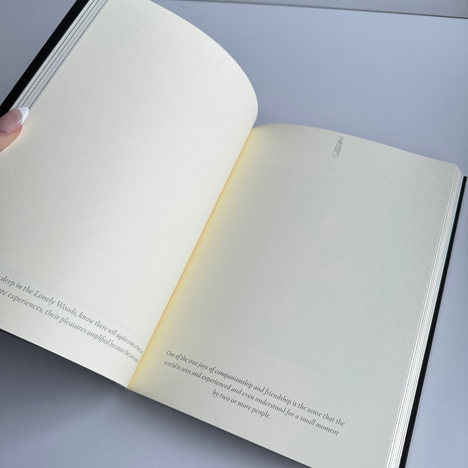 Into The Lonely Woods Journal Lucy Cavendish