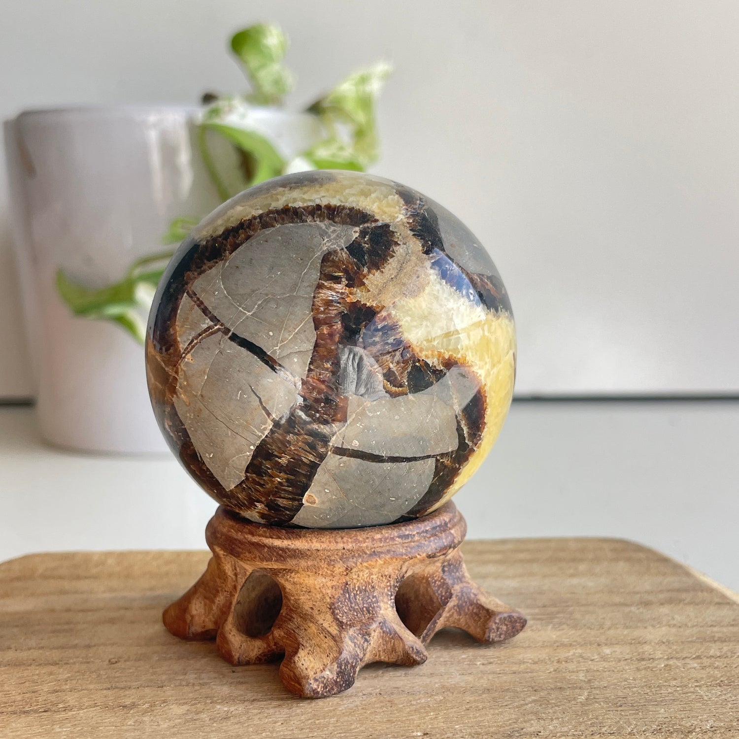 Septarian Sphere 6.1cm