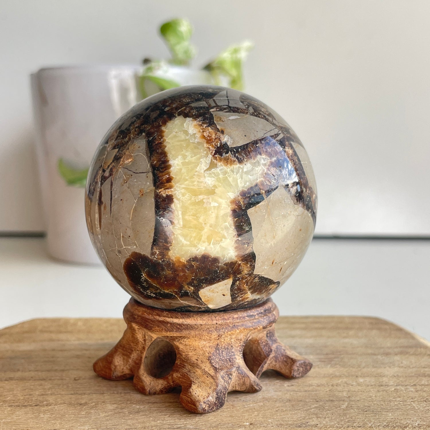 Septarian Sphere 6.5cm