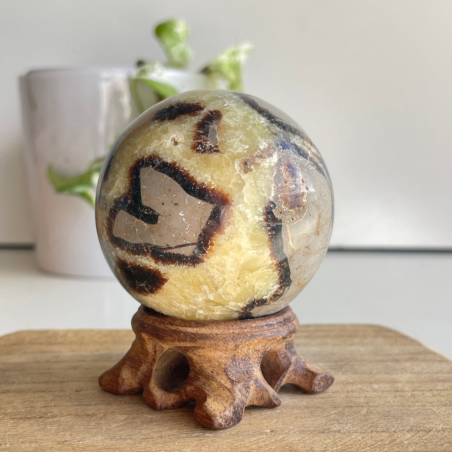 Septarian Sphere 6.2cm