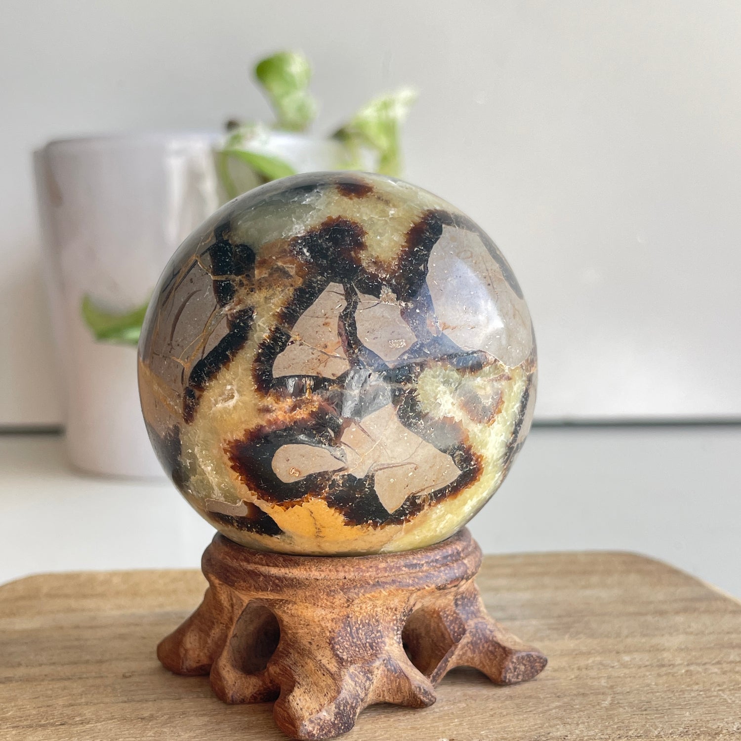 Septarian Sphere 6.2cm