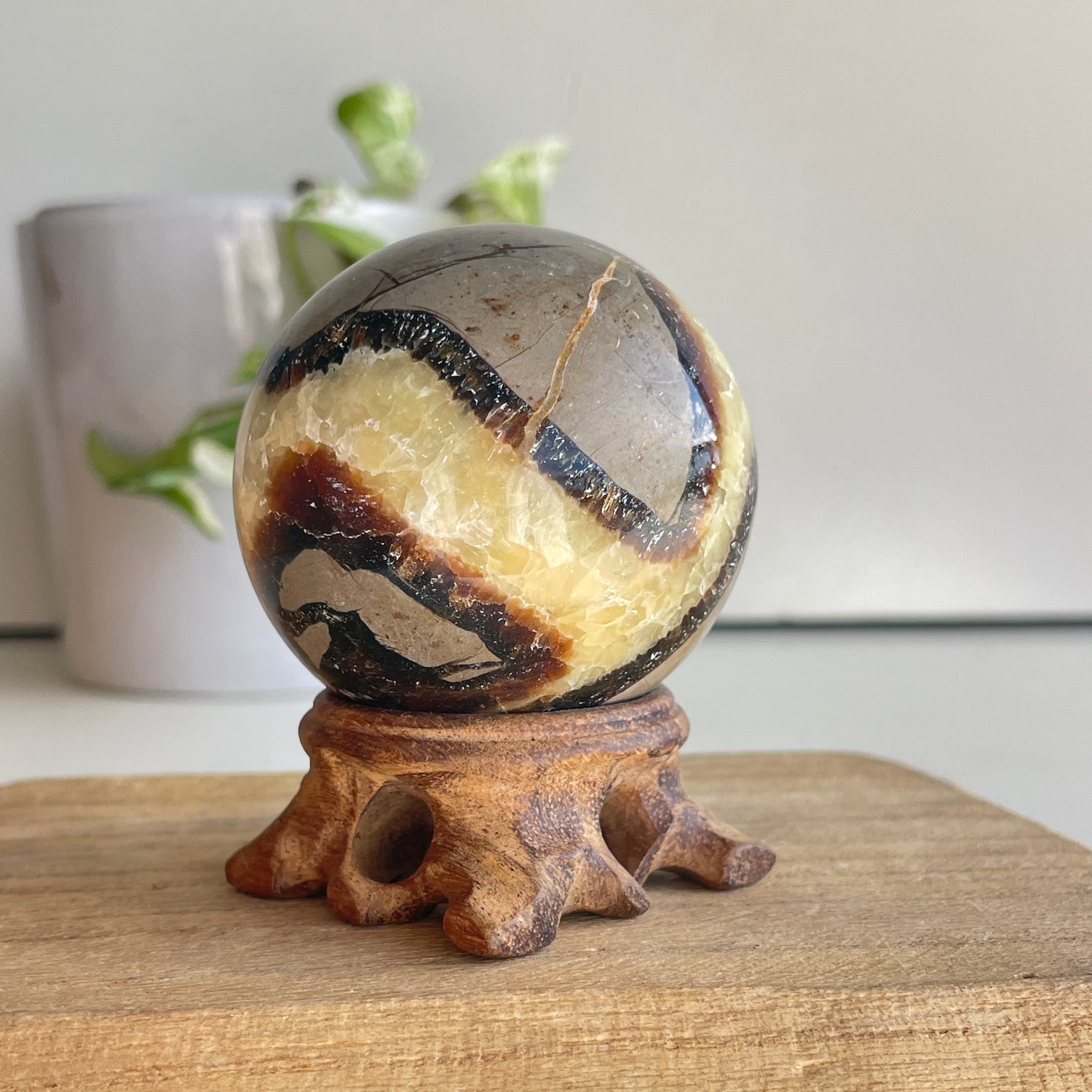 Septarian Sphere 5.9cm