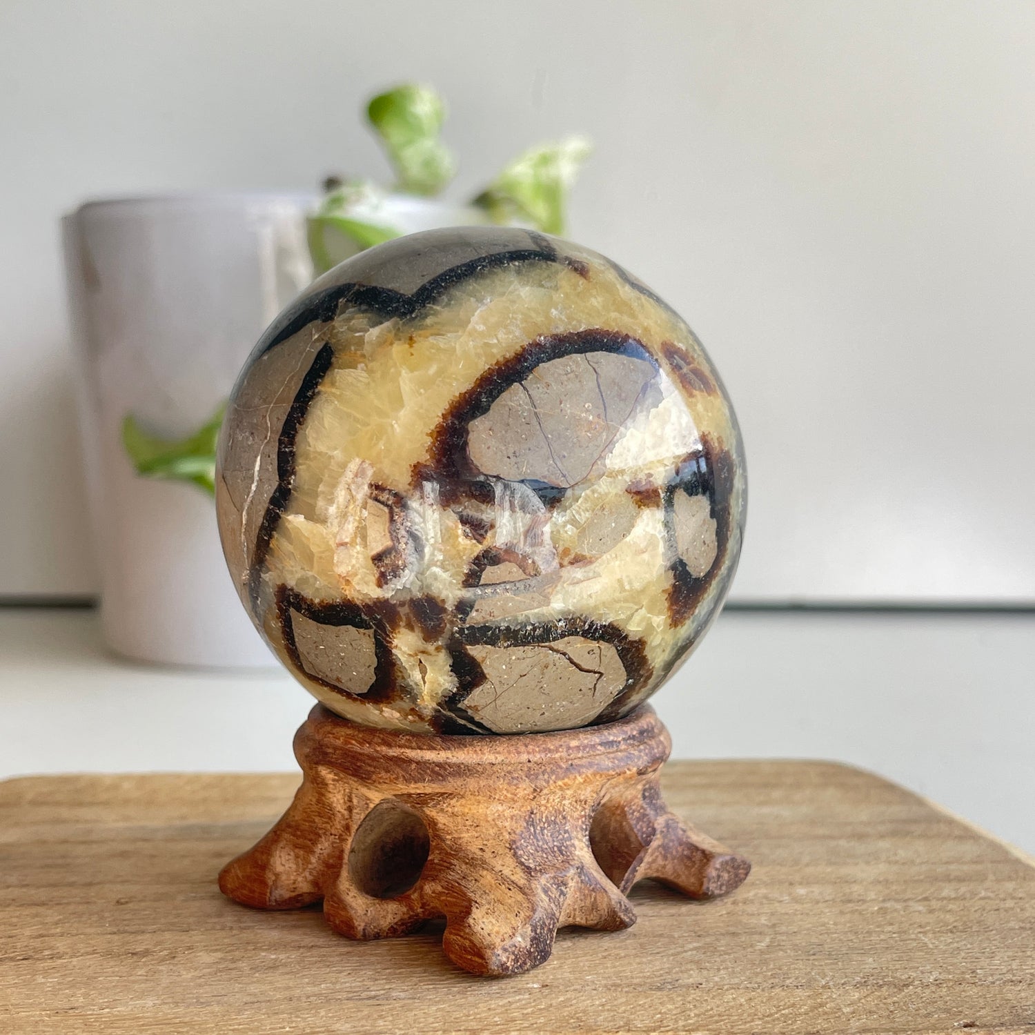 Septarian Sphere 6.1cm