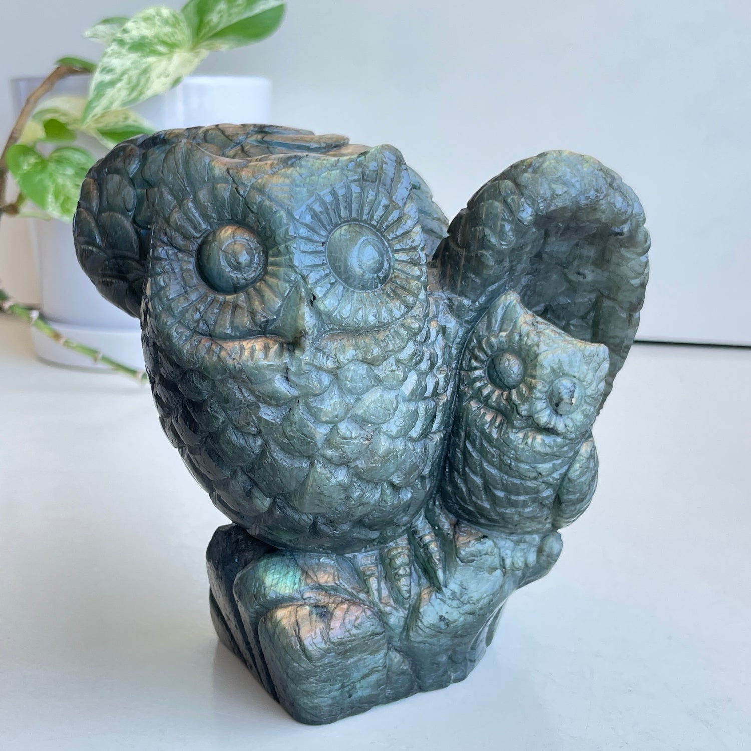 Labradorite Owls