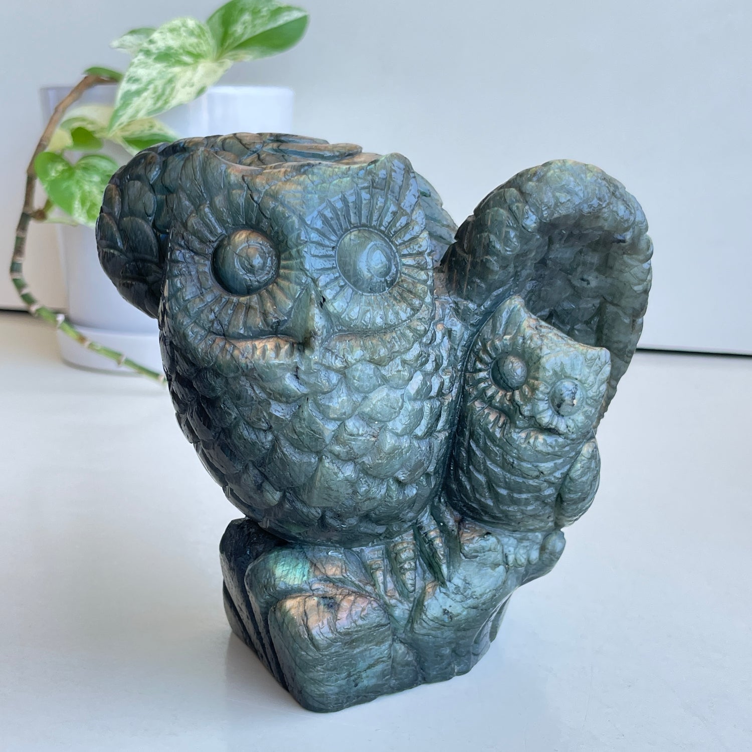 Labradorite Owls