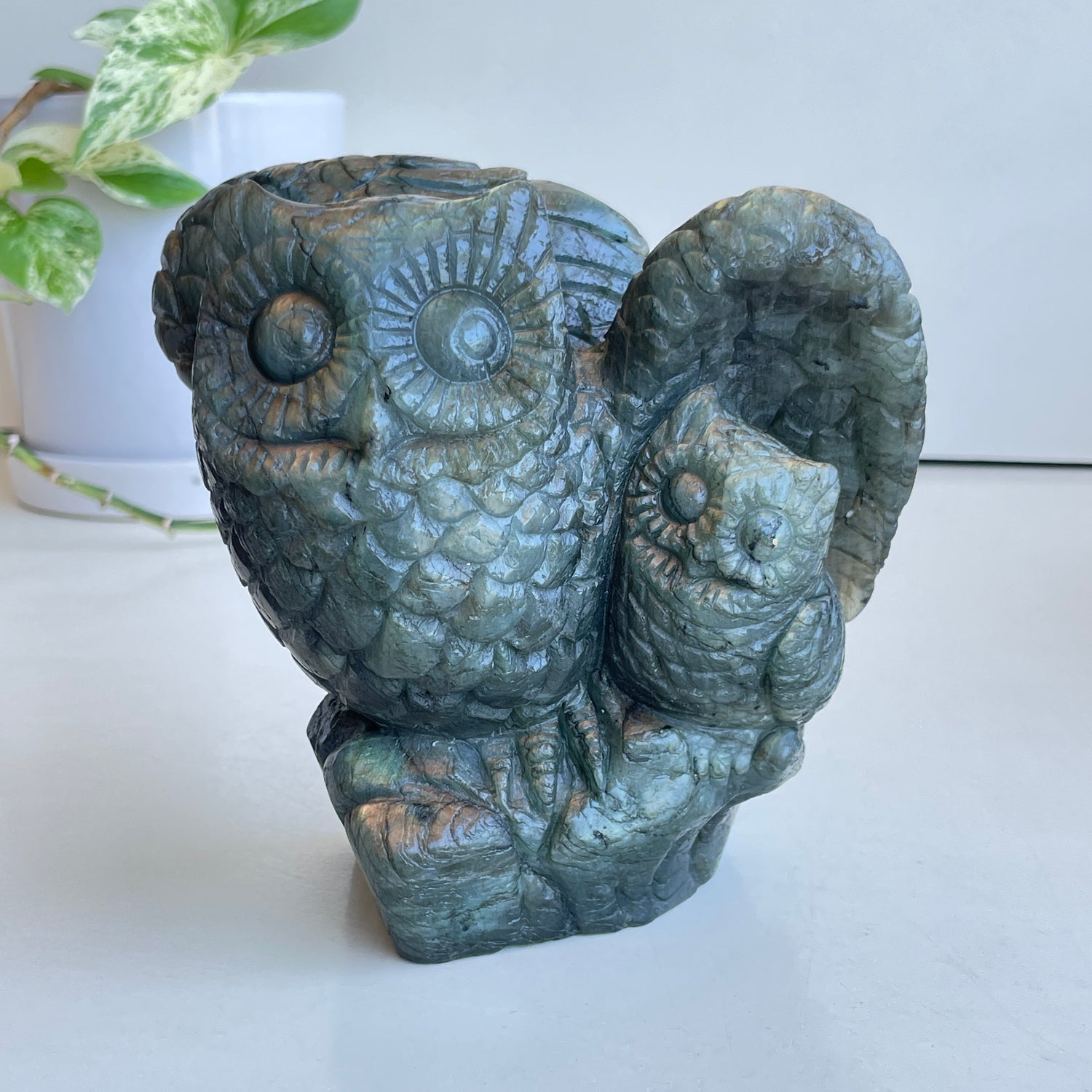 Labradorite Owls