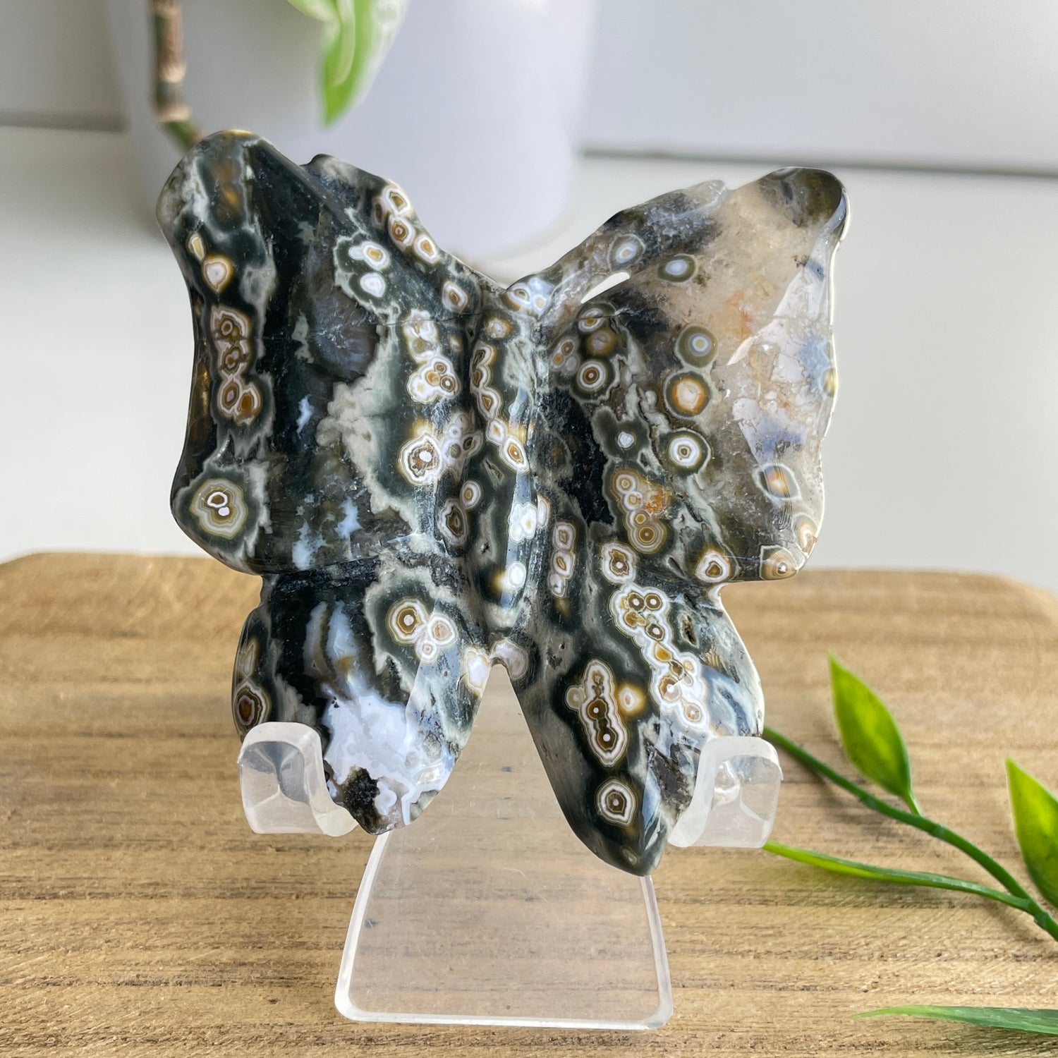 Orbicular Ocean Jasper Butterfly 6.4cm