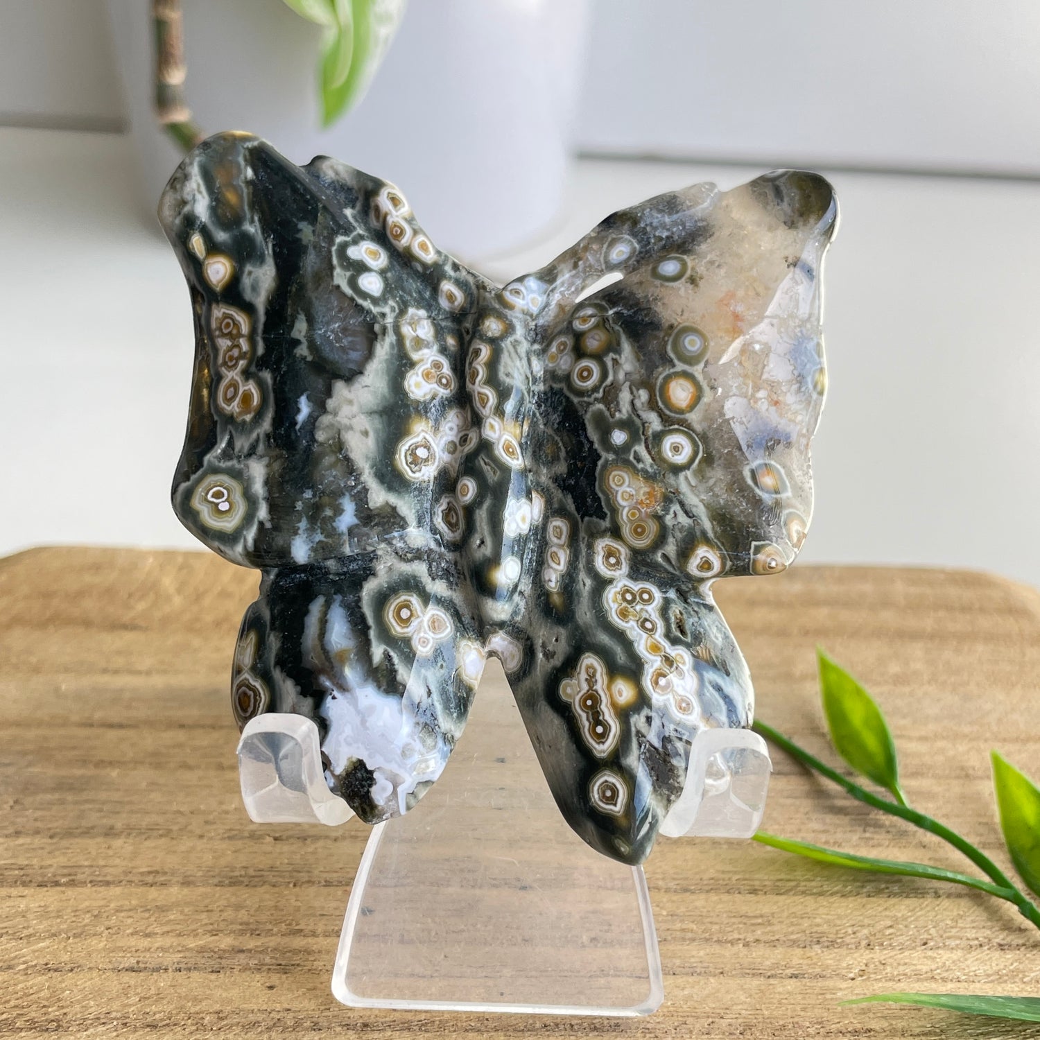 Orbicular Ocean Jasper Butterfly 6.4cm