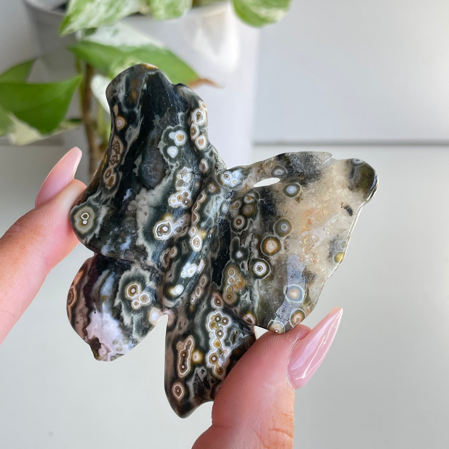 Orbicular Ocean Jasper Butterfly 6.4cm