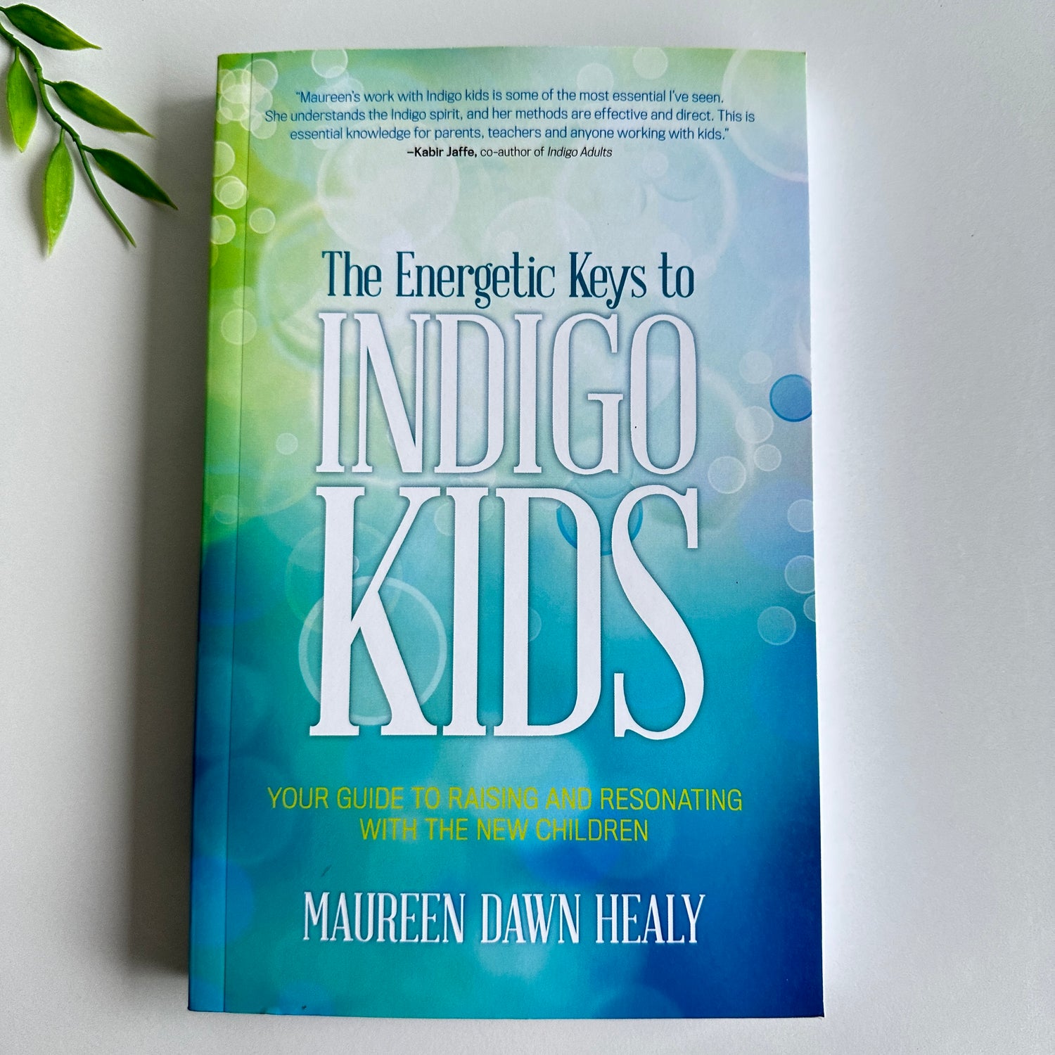 The Energetic Keys To Indigo Kids Maureen Dawn Healy