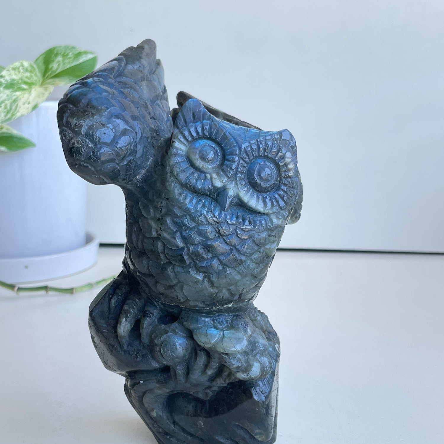 Labradorite Owl