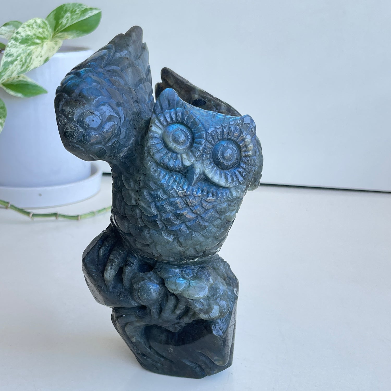 Labradorite Owl