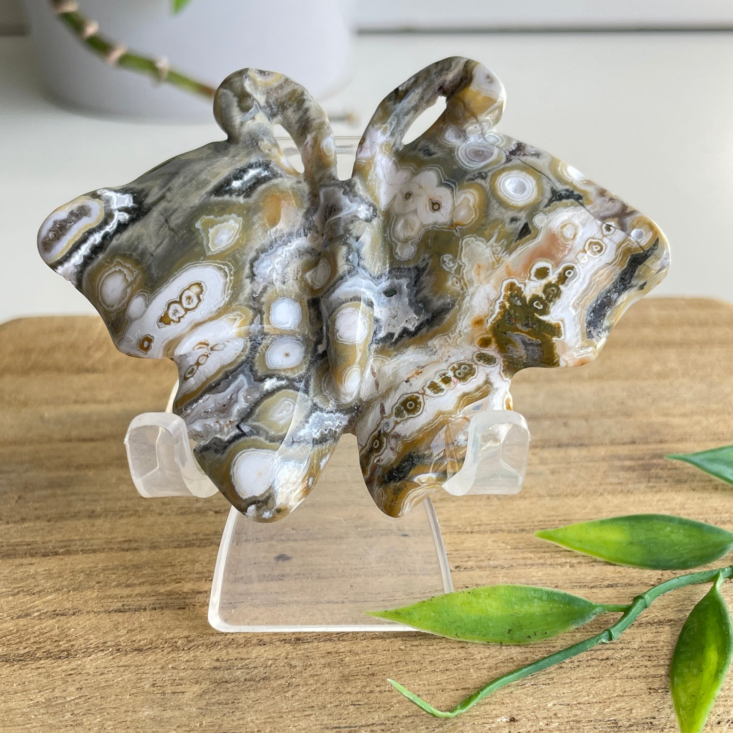 Orbicular Ocean Jasper Butterfly 7.6cm