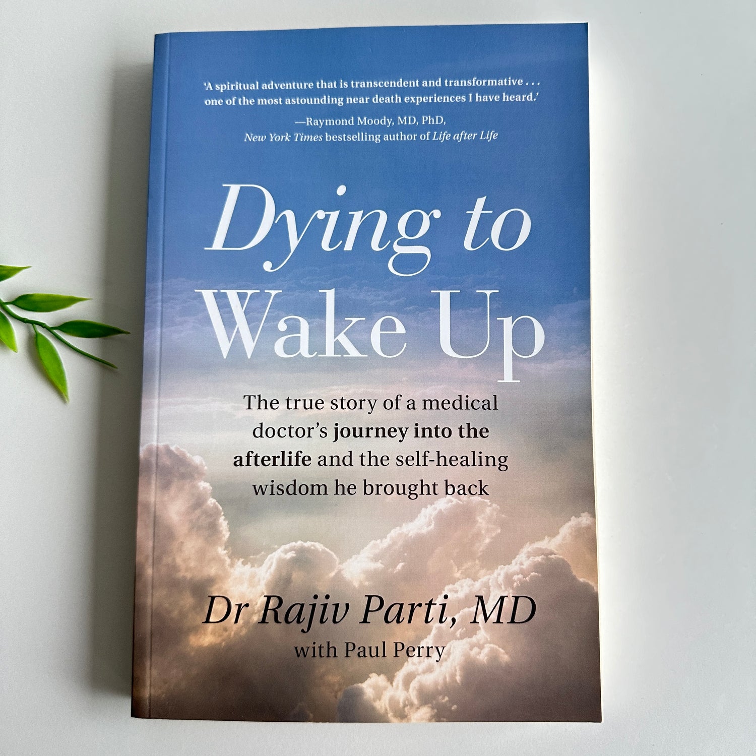Dying to Wake Up Dr Rajiv Parti