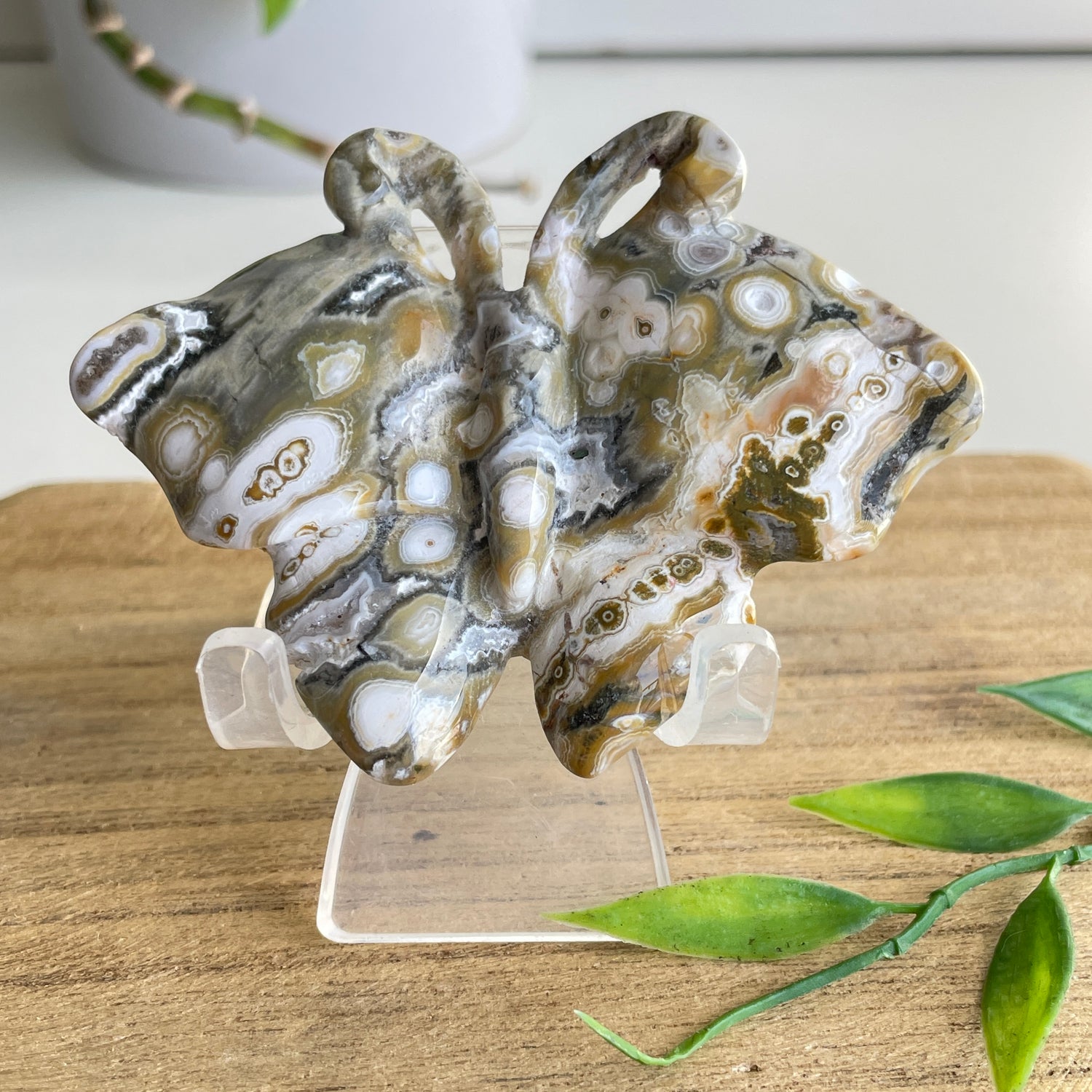 Orbicular Ocean Jasper Butterfly 7.6cm