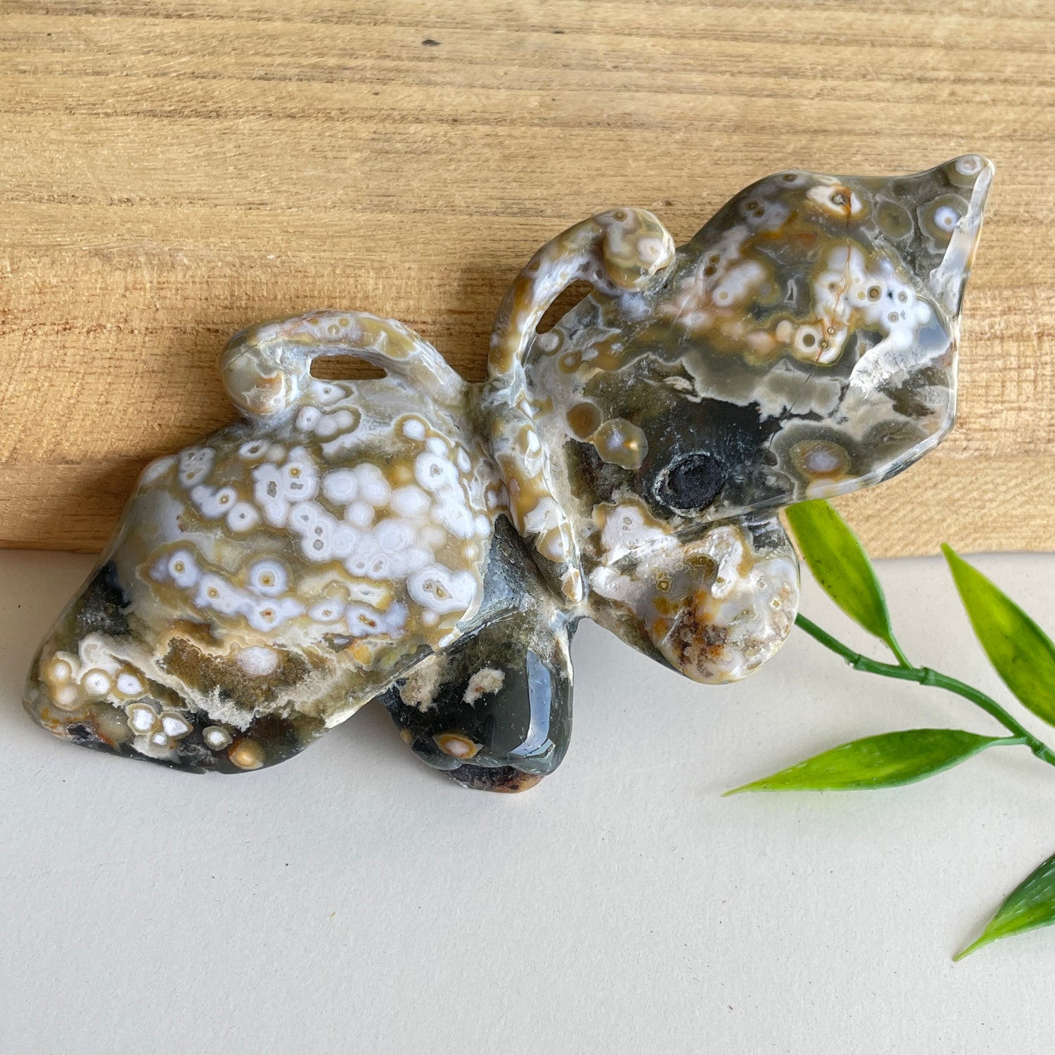 Orbicular Ocean Jasper Butterfly 11.5cm