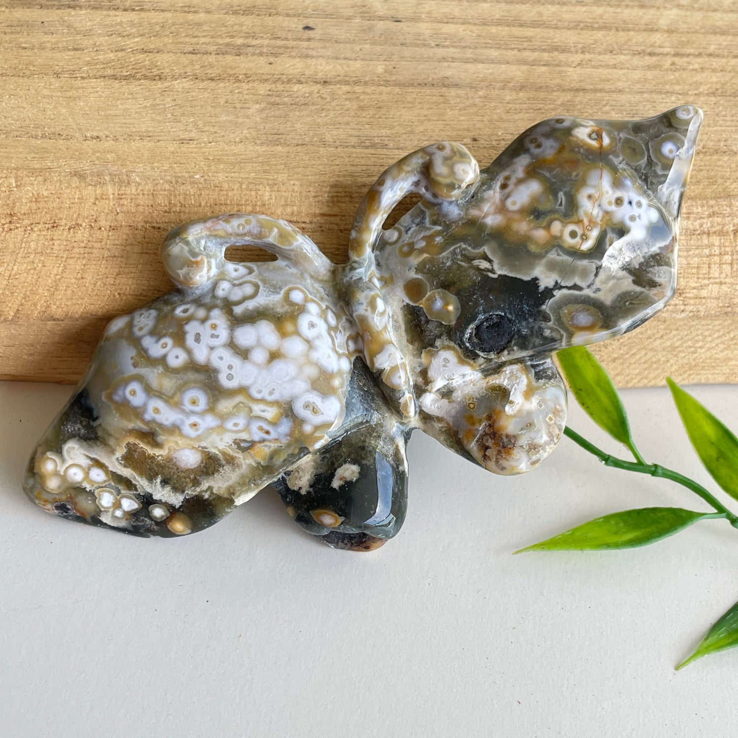 Orbicular Ocean Jasper Butterfly 11.5cm