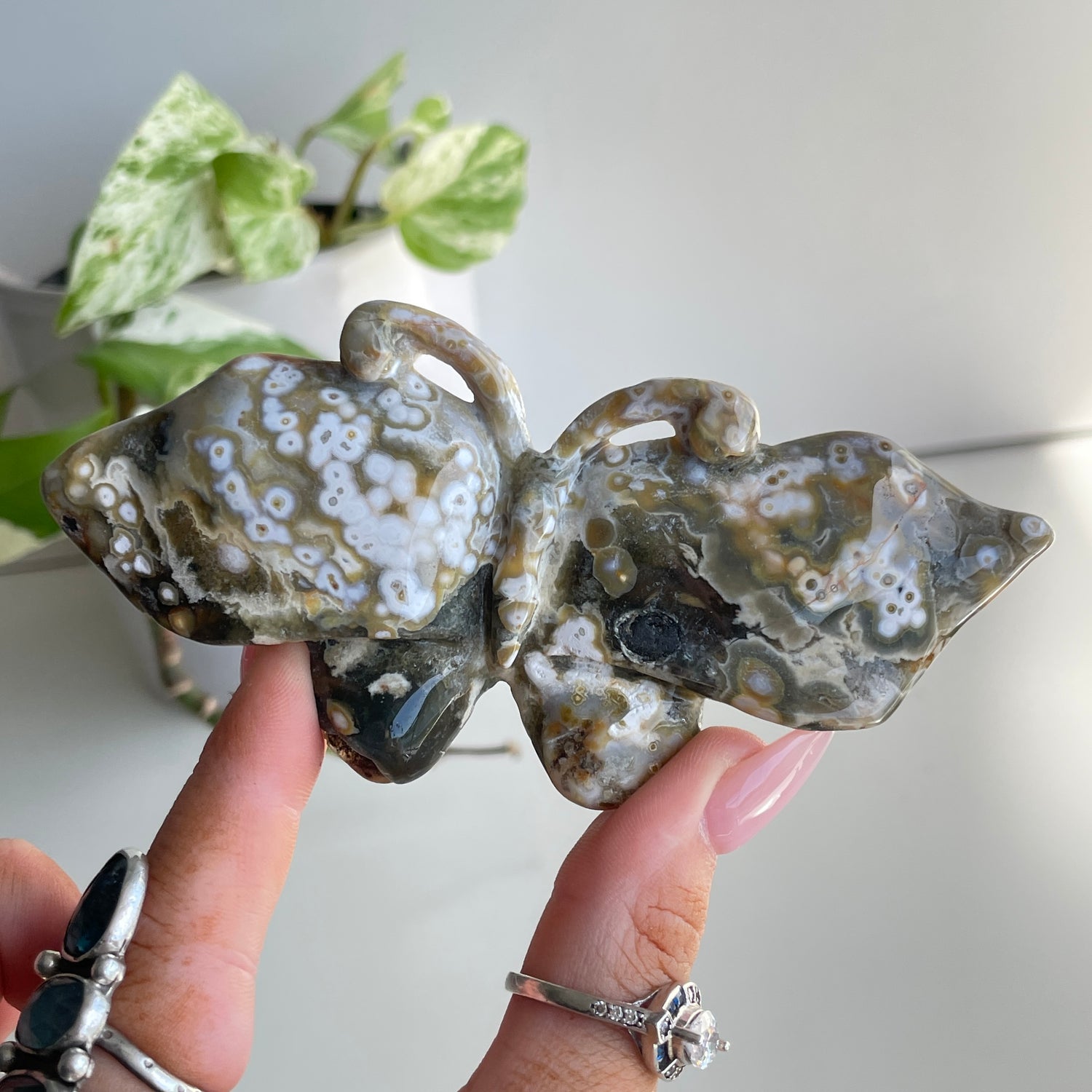 Orbicular Ocean Jasper Butterfly 11.5cm