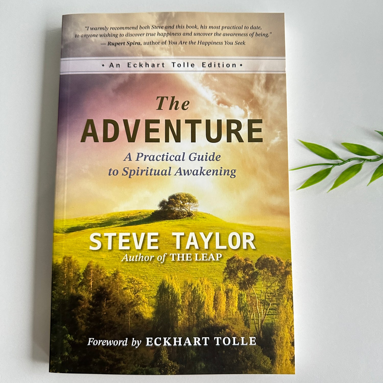The Adventure Steve Taylor