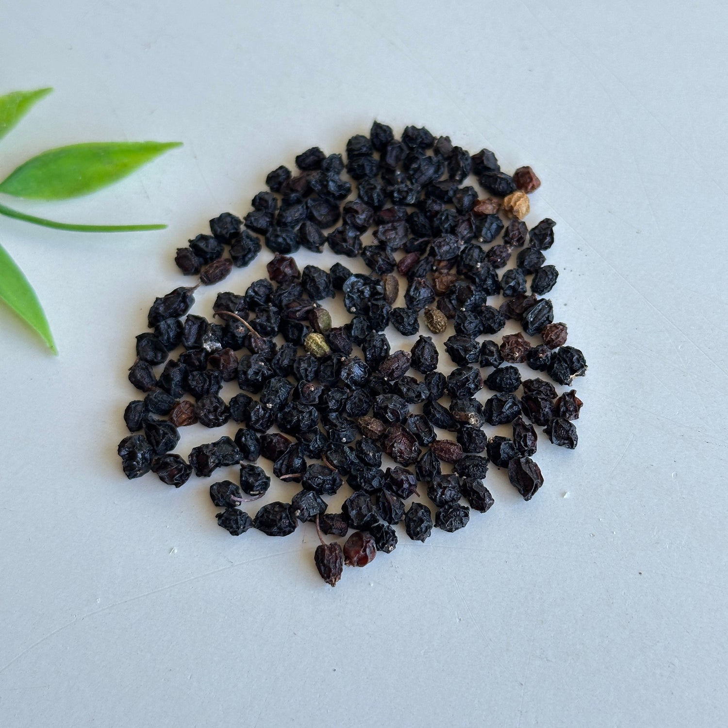 Elder Berries 10g