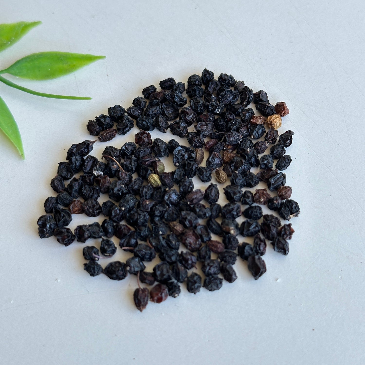Elder Berries 10g