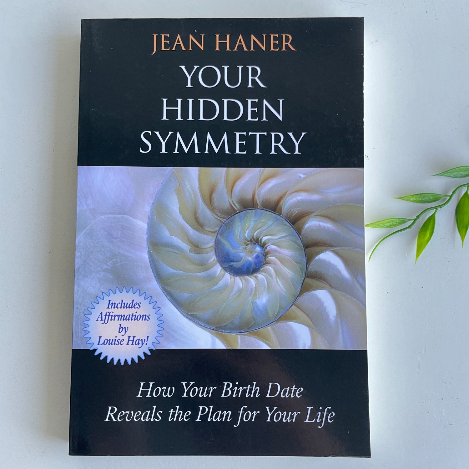 Your Hidden Symmetry Jean Haner