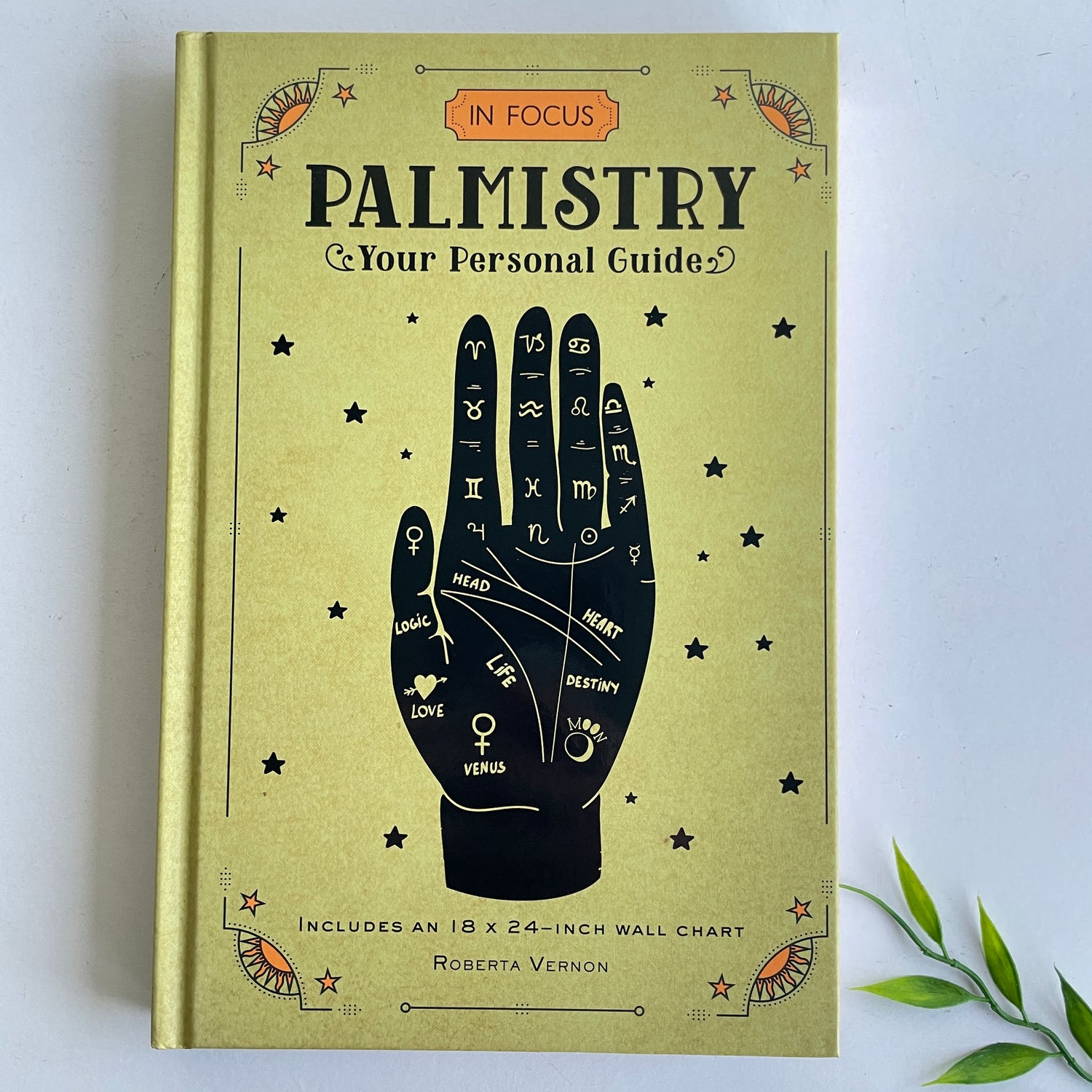 In Focus Palmistry Roberta Vernon