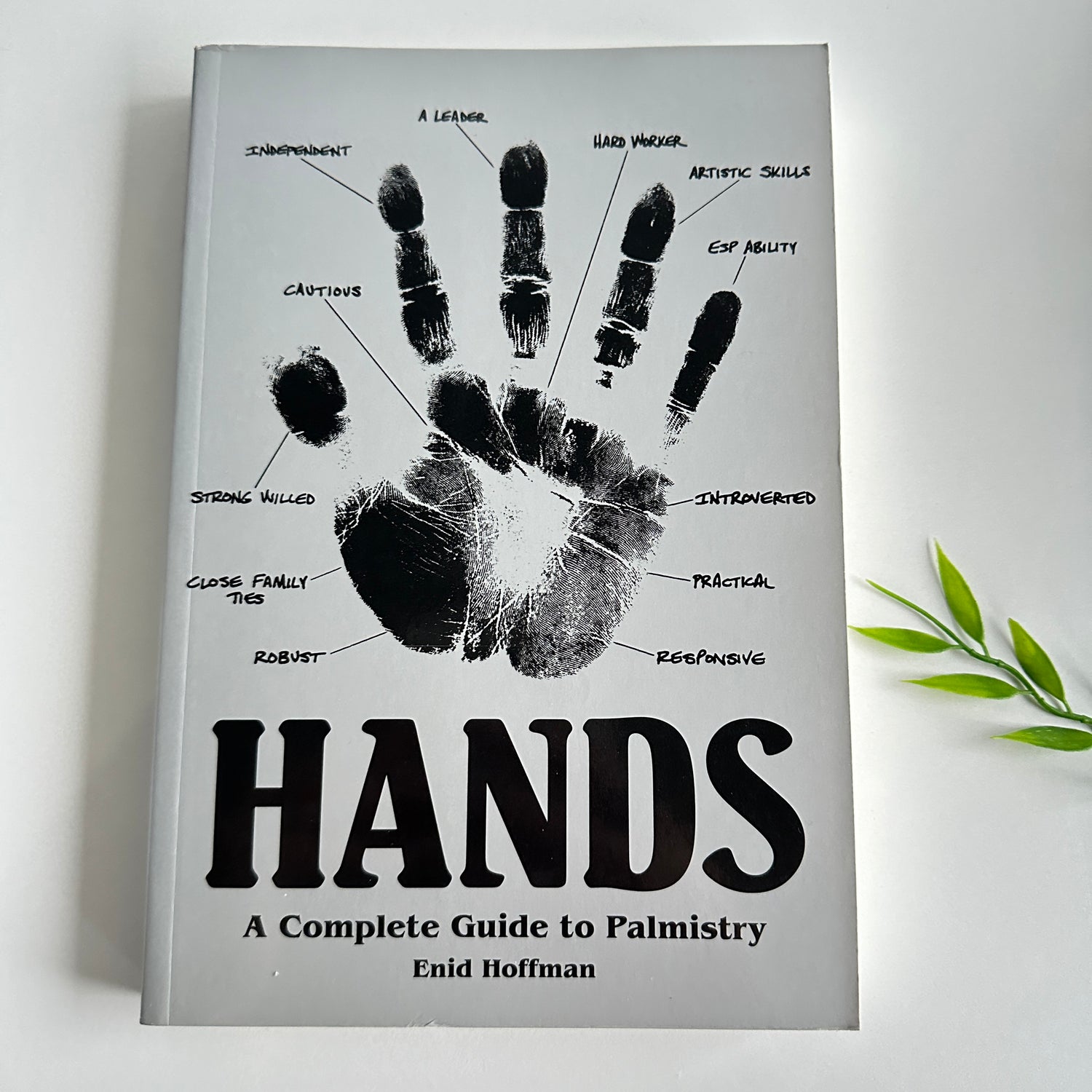 Hands Enid Hoffman