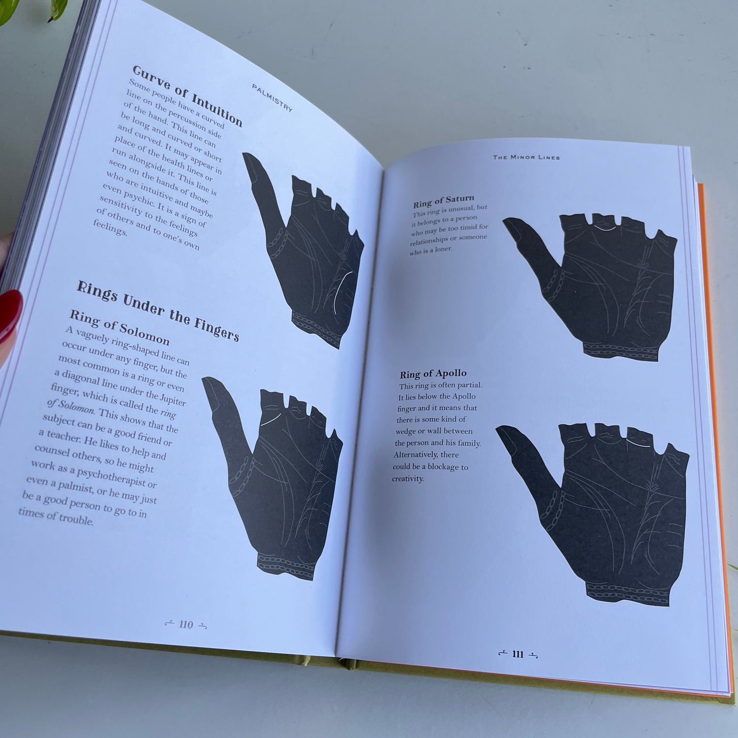 In Focus Palmistry Roberta Vernon