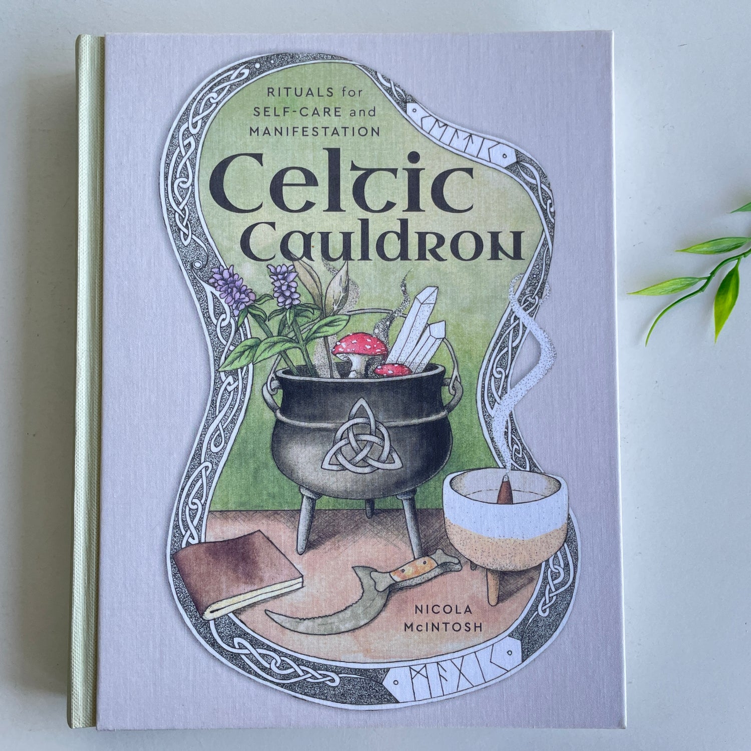 Celtic Cauldron Nicola McIntosh