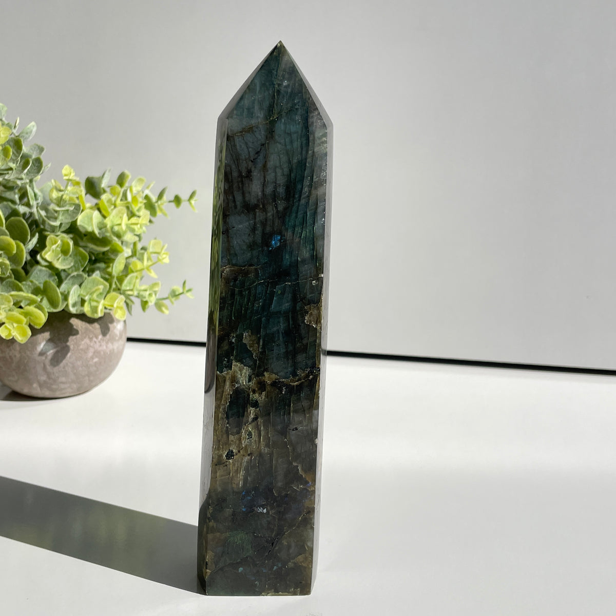 Labradorite Generator 22cm