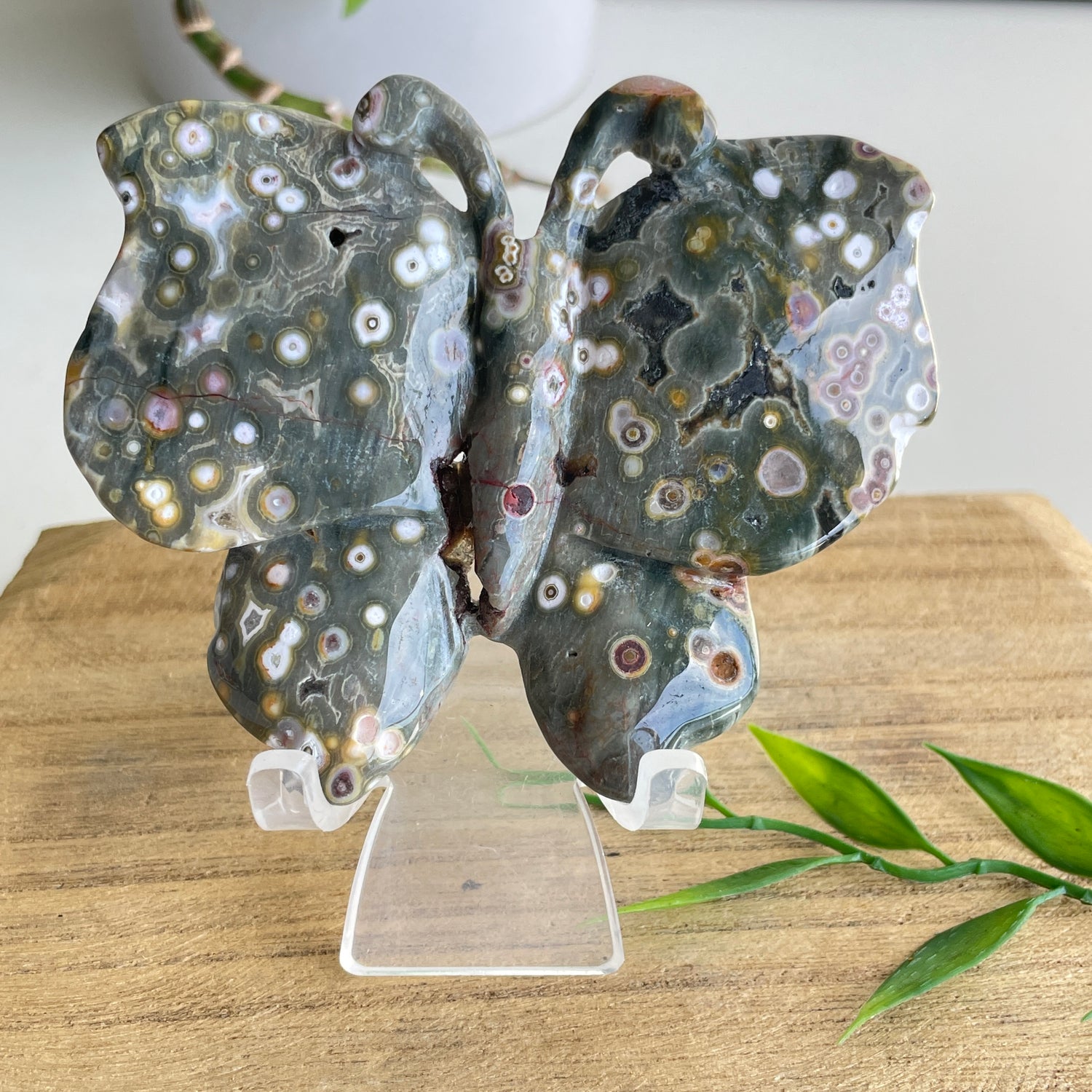 Orbicular Ocean Jasper Butterfly 9.1cm